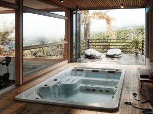 destacado swimspa aquavia fitness 1024x768 1 Quelles sont les différentes variétés de spas disponibles ? - Ambiance & Spa - 5